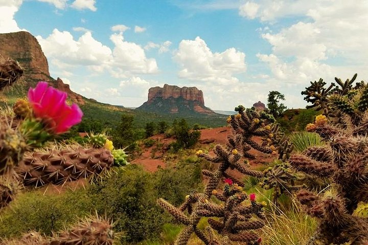 Sedona's Courthouse Butte